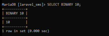 Mysql Binary Function Example