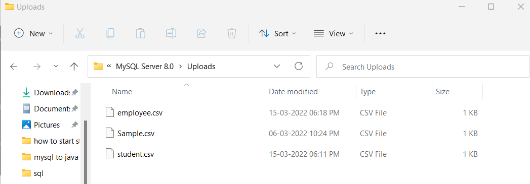 Check The Uploads Folder For CSV File