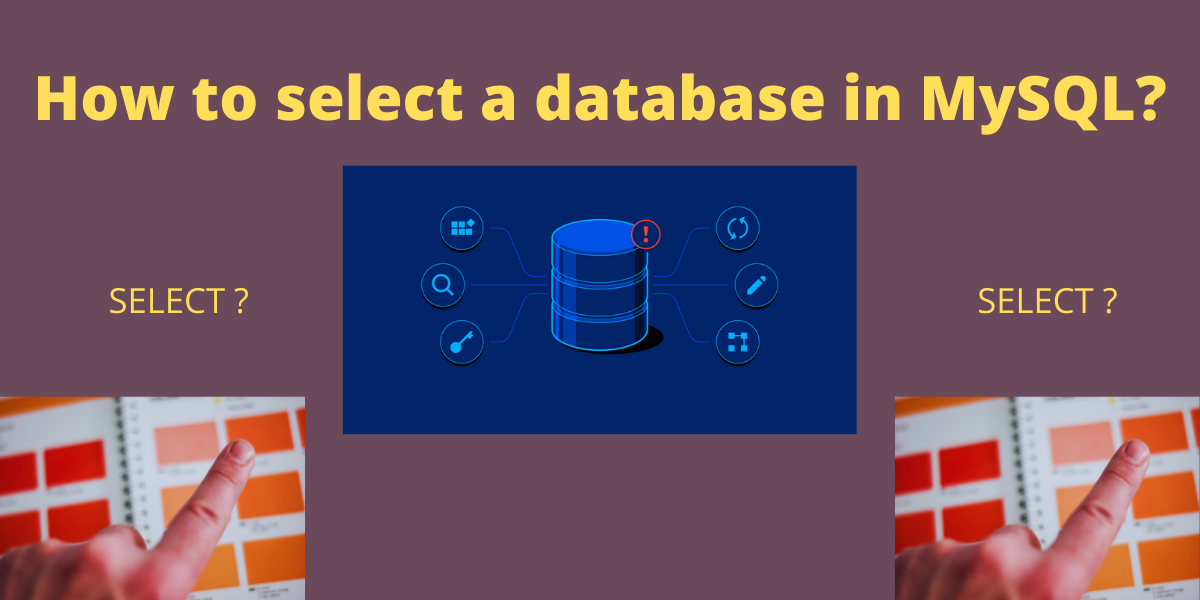 Select Database In MySQL