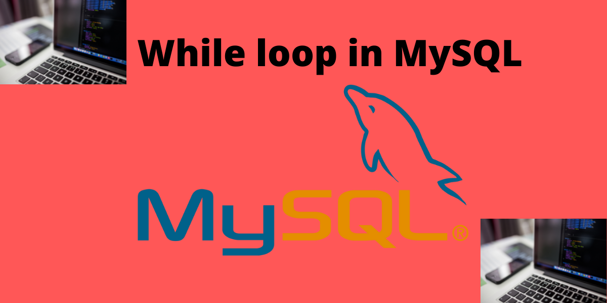 While Loop MySQL