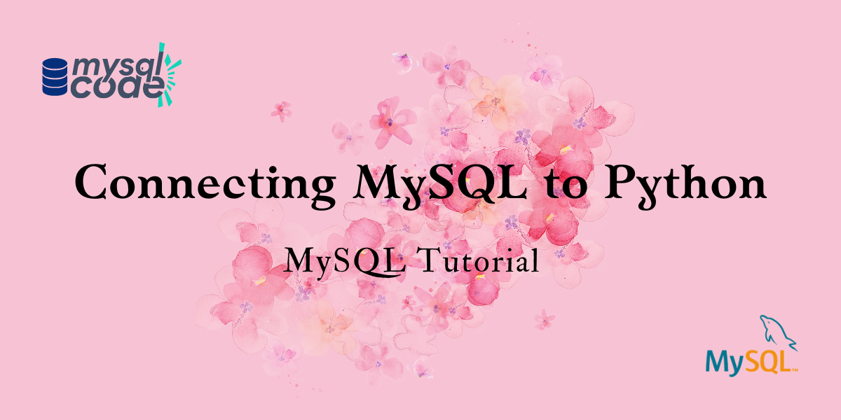 Connecting MySQL To Python