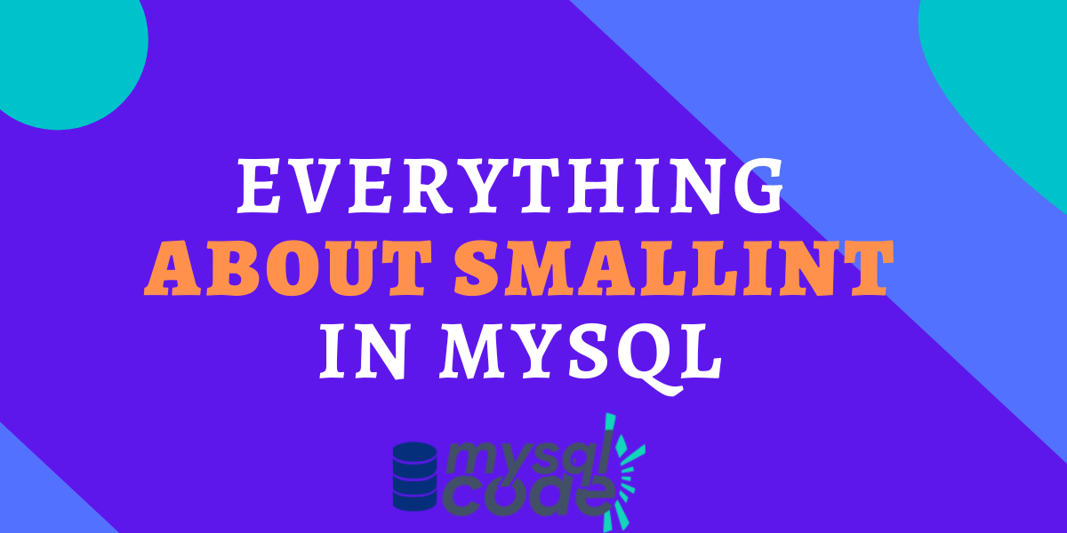 Everything About The Smallint In Mysql